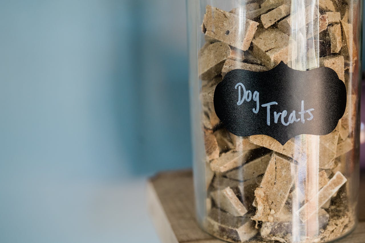 Celebrating Dog Biscuit Day: Treat Your Pup to Something Special!